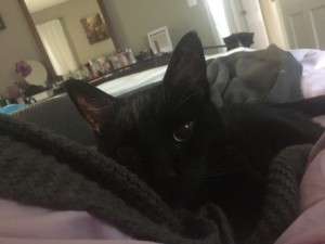 IMG_0537